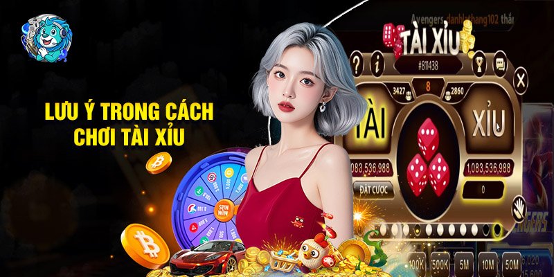 Một Vài Lưu Ý Trong Cách Chơi Tài Xỉu